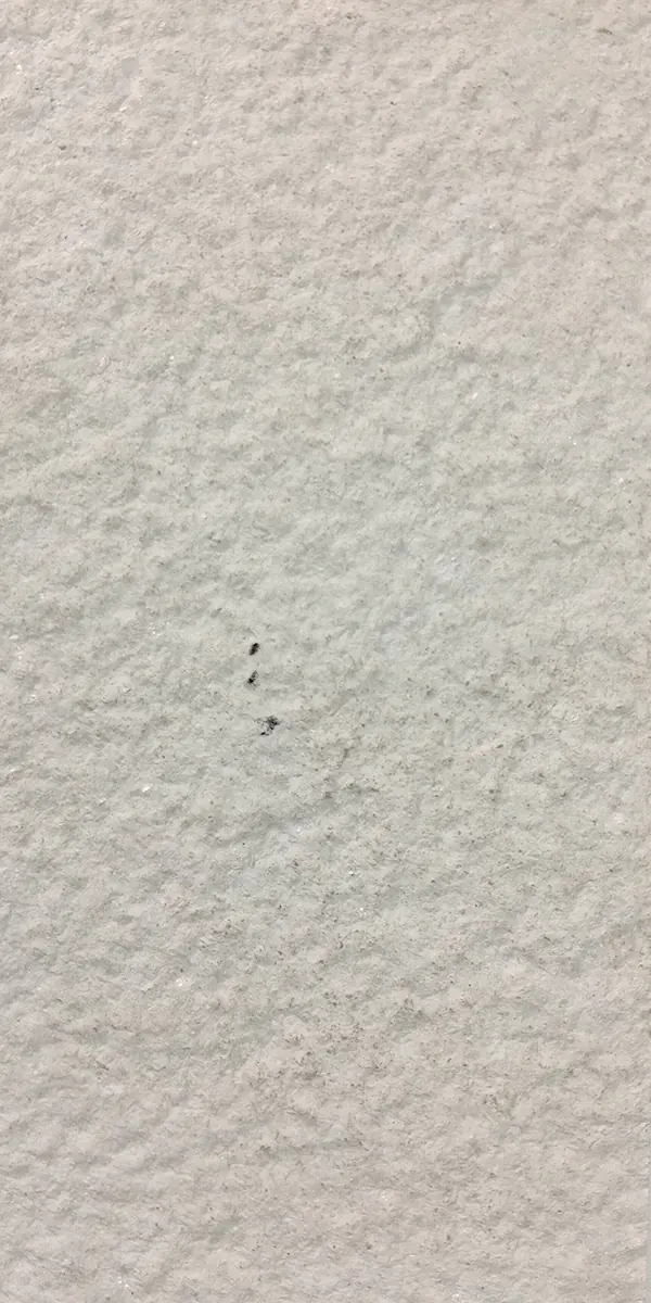 Crystal White slate veneer sheet