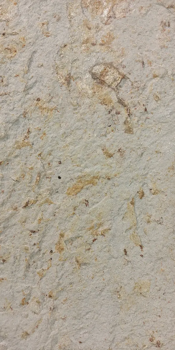 Himalayan Gold marble veneer sheet