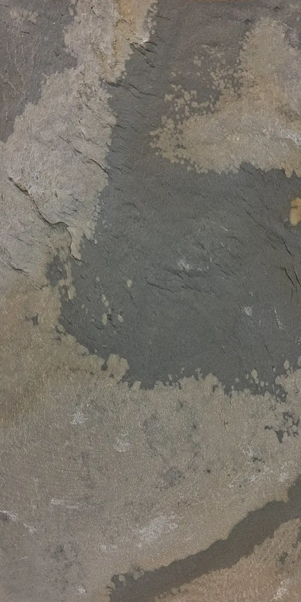 Indian Autume slate veneer sheet