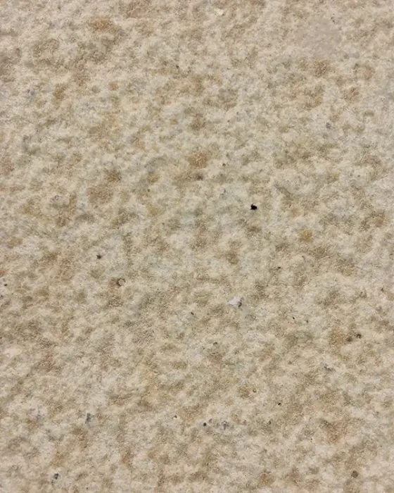 Mint Sunrise sandstone veneer sheet