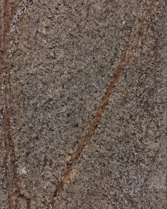 Rain Forest Brown marble veneer sheet